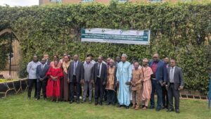 Bassin du Congo : le Cameroun affiche 66 % de progression dans la gestion durable des paysages forestiers
