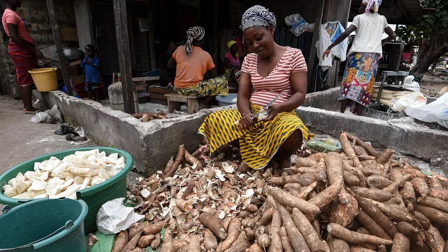 Entrepreneuriat : quand des épluchures de manioc se transforment en farine et whisky
