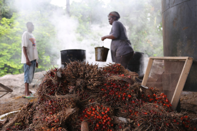 Eseka : la noix de palme fait son festival
