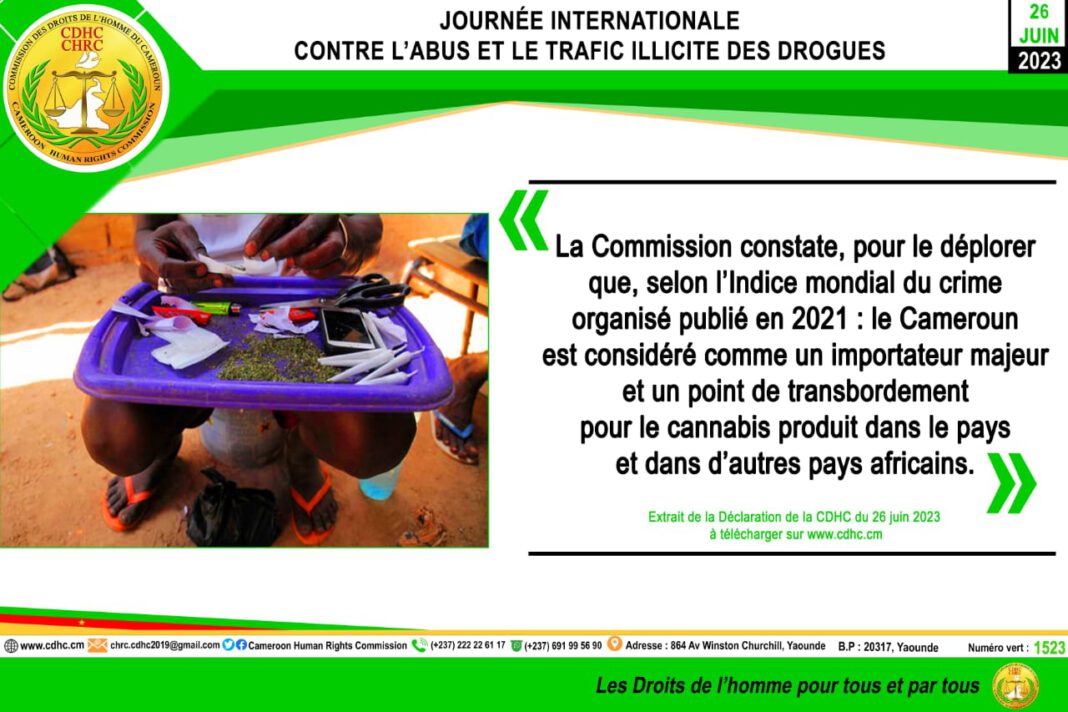 A l’occasion de la journée internationale contre l’abus et le trafic illicite des drogues célébrée ce lundi 26 juin 2023, la commission des Droits de l’Homme du Cameroun déplore dans une déclaration, l’ampleur de la criminalité et de la consommation des substances psychotropes dans le pays