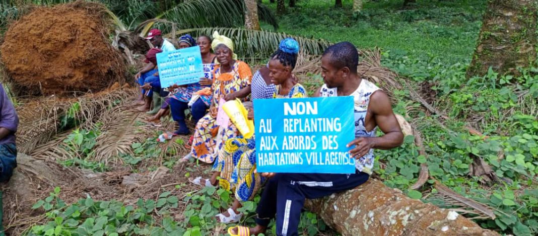 Crise à la plantation d’Apouh : la Socapalm interpelle l’Etat