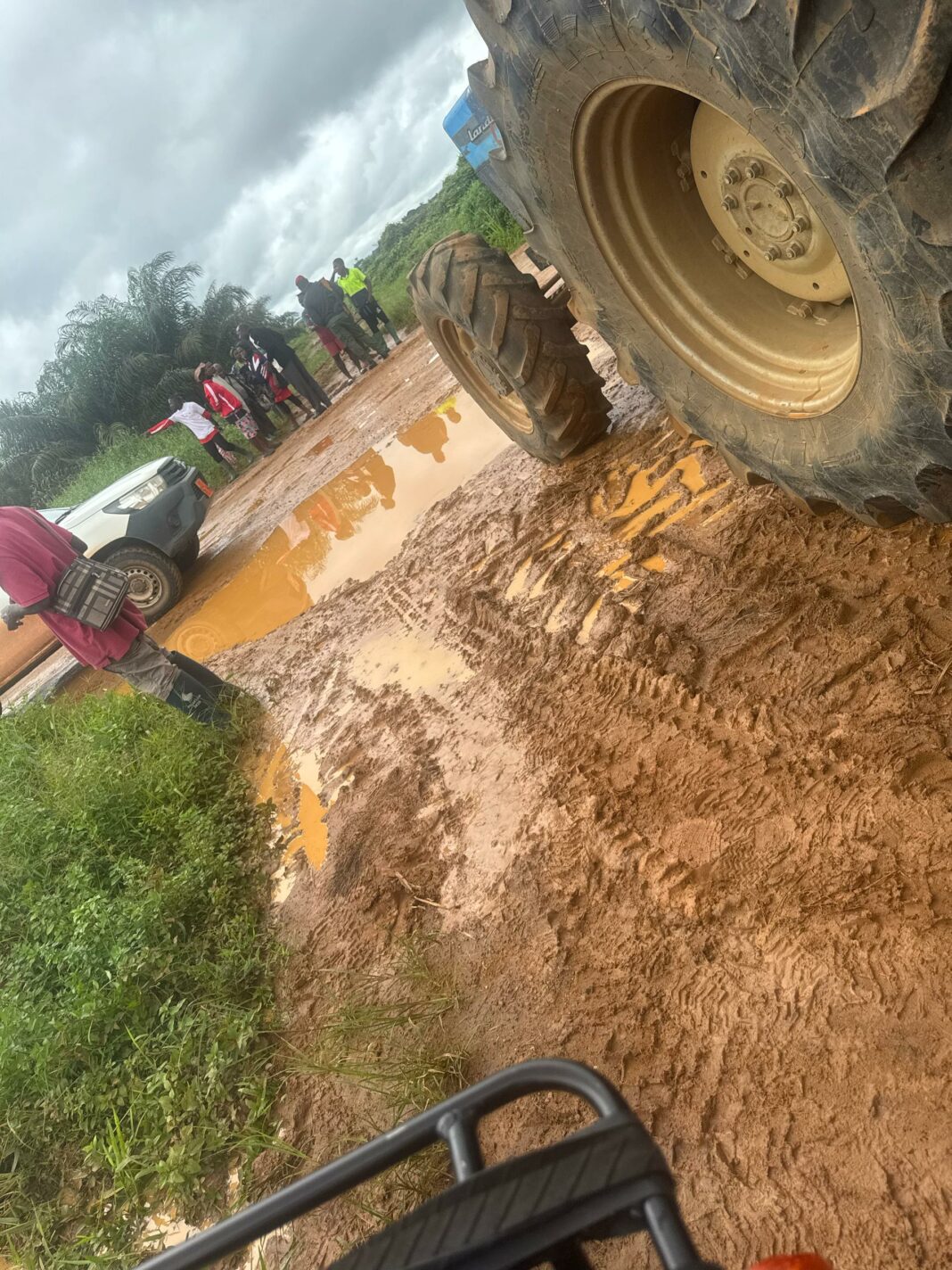 L’opération de replanting vire à l’affrontement à la Socapalm de Mbambou. Entre pacte rompu, enjeux fonciers masqués et manipulations syndicales, la Socapalm dévoile sa part de vérité et plaide pour un dialogue lucide et apaisé.