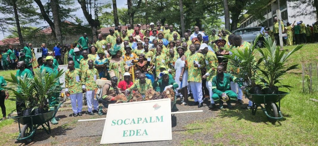La 140e Fête du Travail dans la Sanaga-Maritime a mis en lumière la mobilisation des employés de la Socapalm et de Safacam, unis dans un défilé structuré et salué. Entre cohésion des équipes, dialogue social et échanges autour des conditions de travail, la journée a consacré l’esprit collectif comme levier de performance et d’humanisme au sein des entreprises du Groupe Socfin