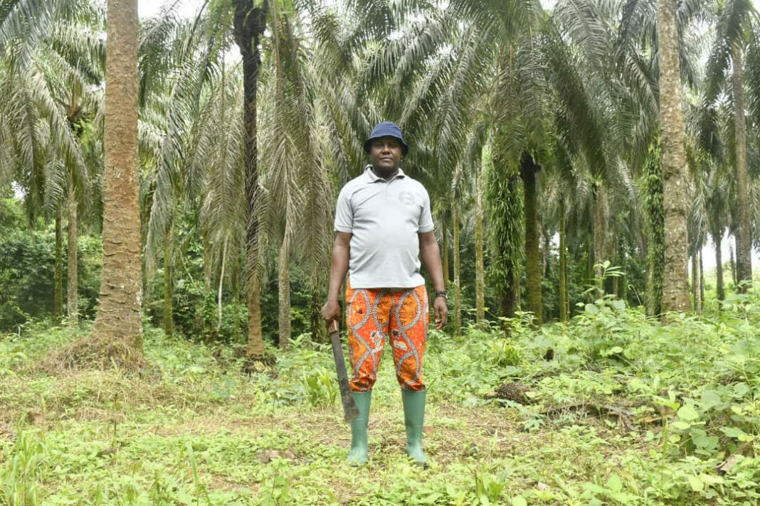 Plantation Socapalm