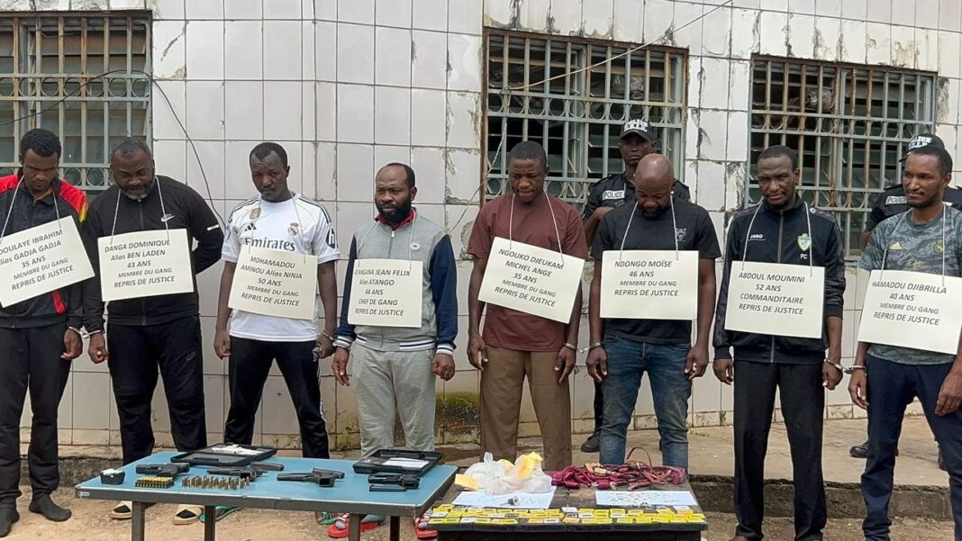 Ils sont huit présumés malfrats. Tous des repris de justice, interpellés à Bertoua, Yaoundé et Douala. Ils ont été présentés à la presse camerounaise le 1er juin. Parmi le butin saisi, 121 millions Fcfa, 15 kg d’or, 12 voitures de luxe, 32 munitions de calibre 9 et de nombreux biens saisis.