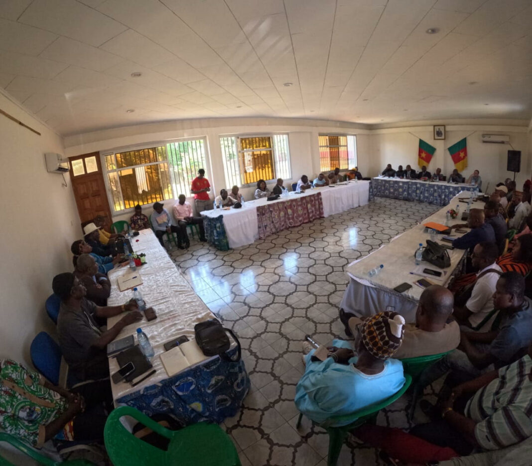 La 27ᵉ plateforme tripartite permanente a réuni ce mardi 15 septembre 2026 dans le centre-ville de Kribi, les pouvoirs publics, la Socapalm, les chefs et notables des communautés riveraines. Foncier, électrification, projets communautaires, certification RSPO et sécurité figuraient au cœur des échanges. Objectif : examiner les engagements pris et les préoccupations du terrain.