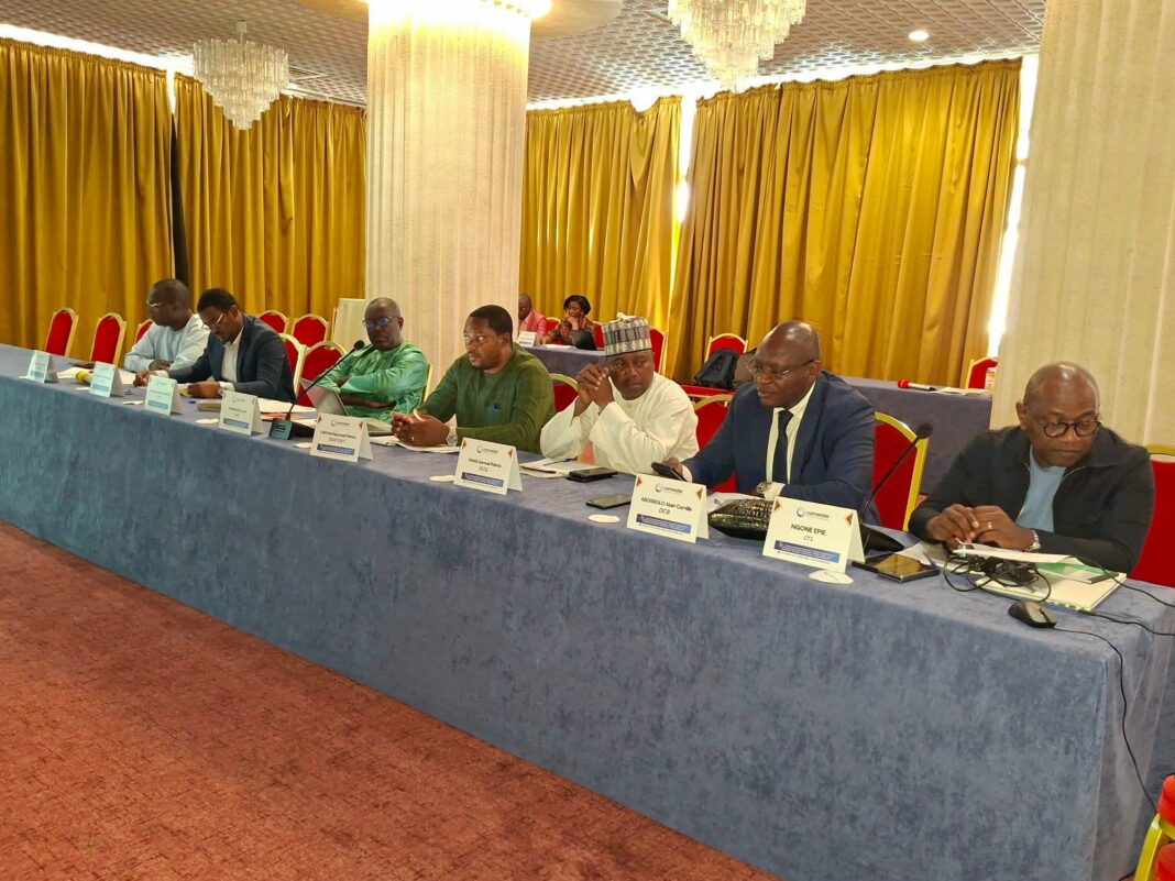 Huit châteaux d’eau, 8 000 branchements sociaux et 810 bornes-fontaines figurent parmi les infrastructures prévues dans le projet d’alimentation en eau potable porté par la Camwater. La Cameroon Water Utilities Corporation a organisé, les 9 et 10 octobre 2026 à Yaoundé, un atelier consacré à l’examen des Term Sheets du projet d’alimentation en eau potable dans huit localités du Cameroun.