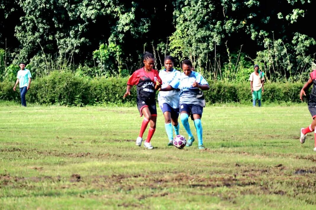 Socapalm Dibombari : le stade de Nkoumé célèbre l’esprit sportif